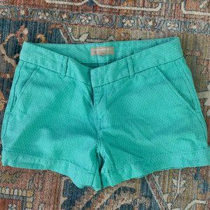 Textured Banana Republic Chino Shorts (Teal/Aqua)